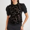 Elie Tahari Tops & Sweaters-Burnout Velvet Short Sleeve Sweater